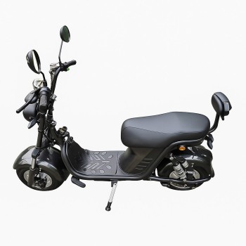 Moto Elétrica 1000w Moto Elétrica 1000w